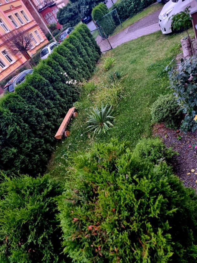 Apartament Lux Lemon Jelenia Góra Eksteriør bilde