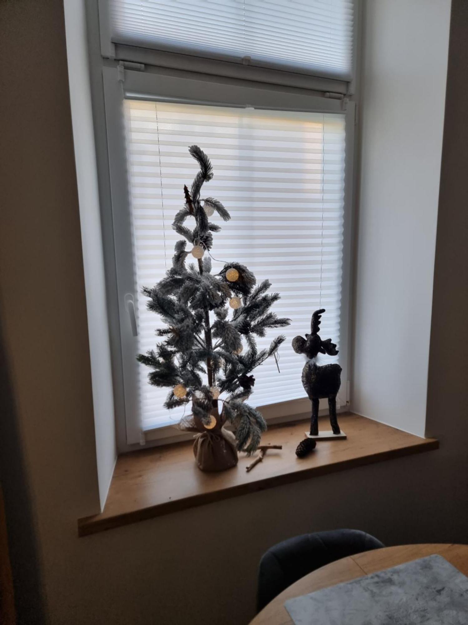Apartament Lux Lemon Jelenia Góra Eksteriør bilde