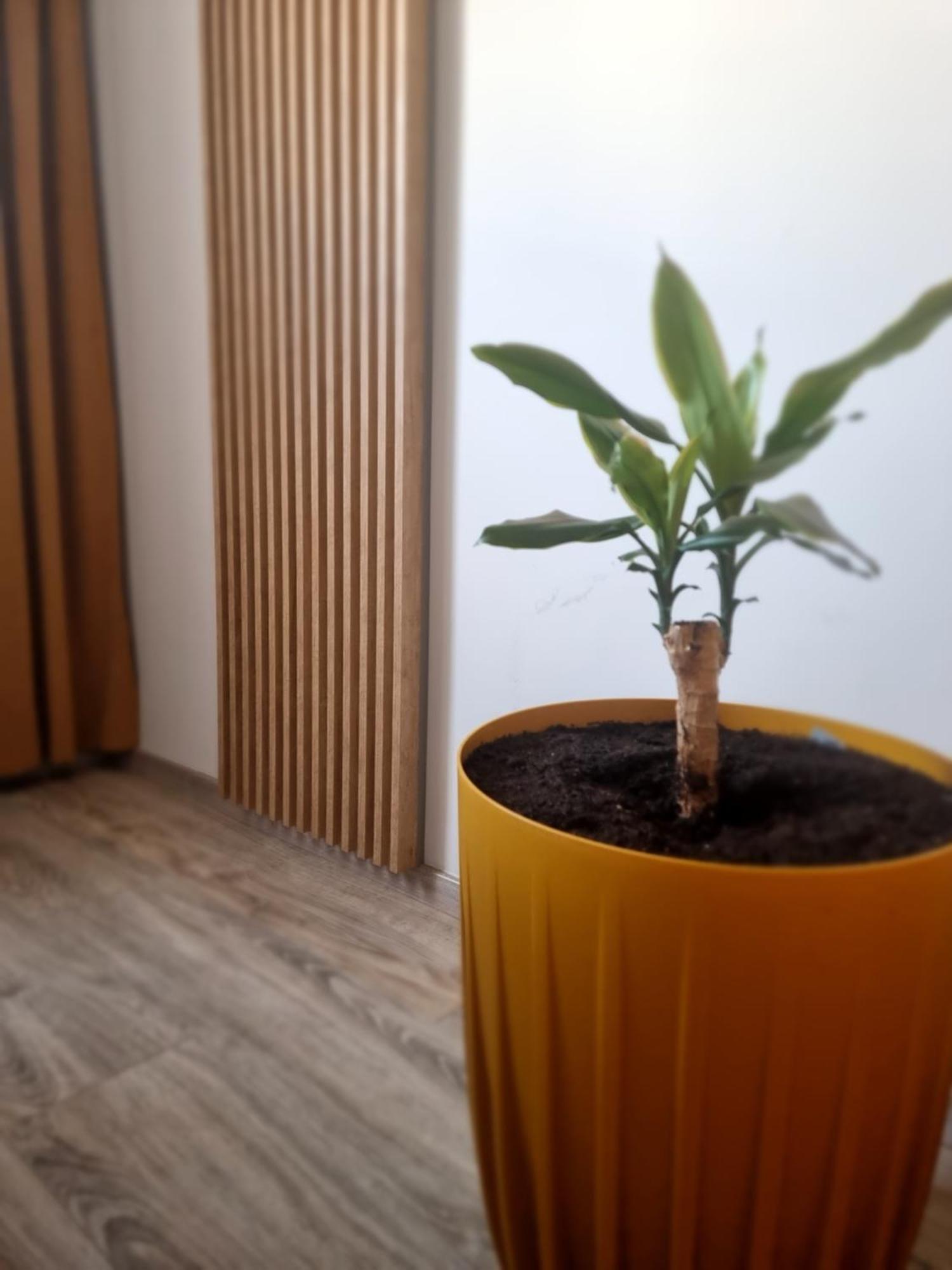 Apartament Lux Lemon Jelenia Góra Eksteriør bilde